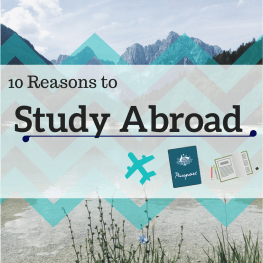 south africa study abroad with klein go summer 2019 