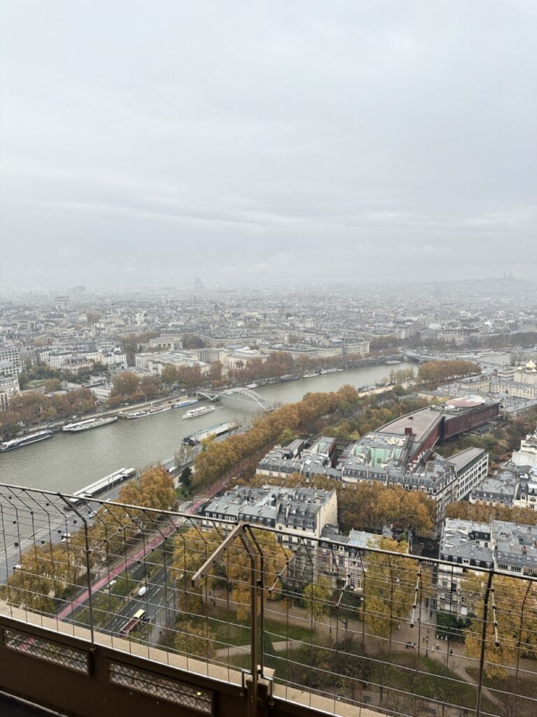 view of paris in november from 2nd floor of eiffel tower