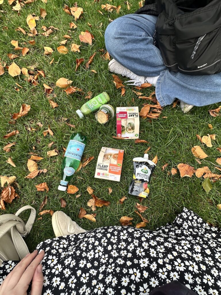 London budget travel costs breakdown picnic in Hyde park to save money 