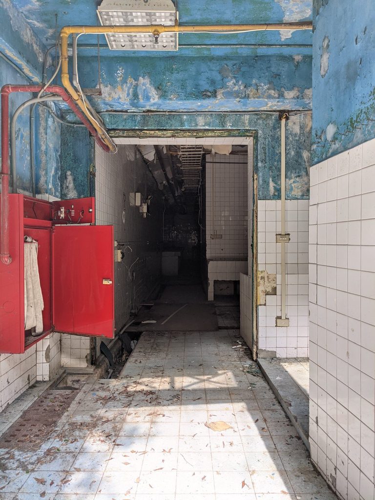 peering into abandoned hospital